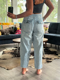 Epic Denim - Free People size 27